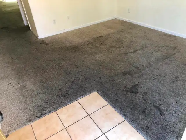 Professional Carpet And Sofa Cleaning In Affordable - Photo 2