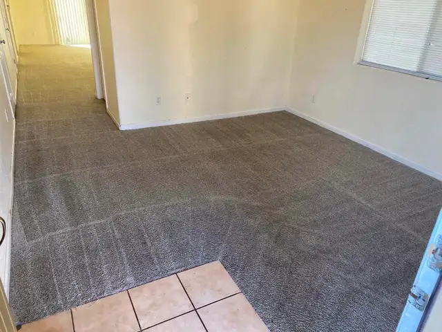 Professional Carpet And Sofa Cleaning In Affordable - Photo 3