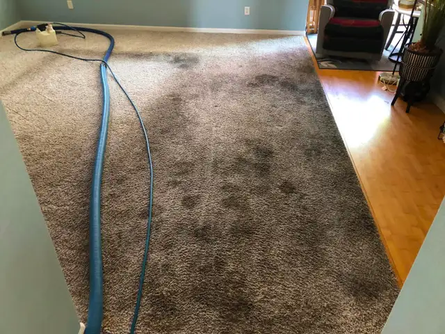Professional Carpet And Sofa Cleaning In Affordable - Photo 4