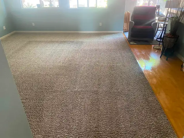 Professional Carpet And Sofa Cleaning In Affordable - Photo 5