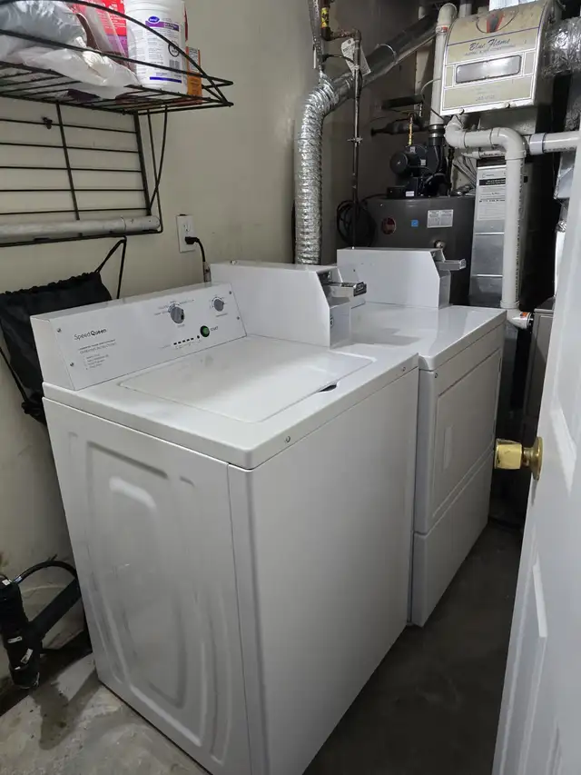 Basement Apartment for Rent - Photo 4