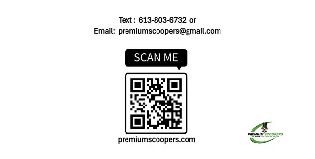 IMPORTANT NOTICE FOR DOG OWNERS OF BROCKVILLE - Photo 3