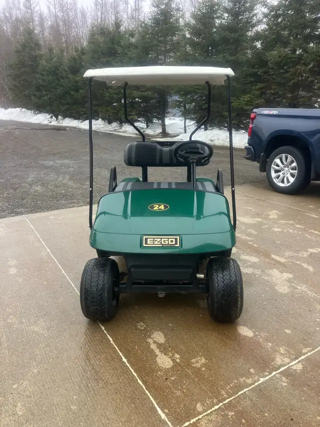 07 Ezgo TXT Electric Golf Cart - Photo 3