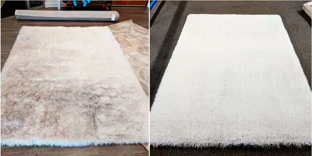 The Complete House Carpet and Sofa_Cleaning