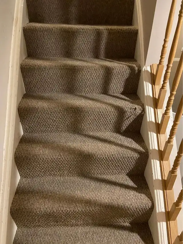 Professional Home Carpet_Rug And Couch Cleaning - Photo 6
