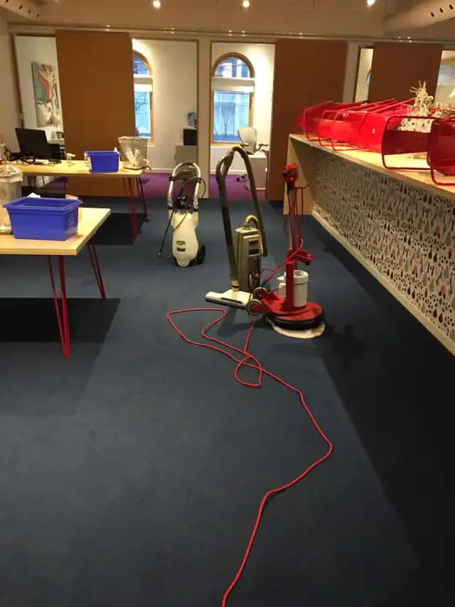 The Professional House Carpet And Couch_Upholstery Cleaning