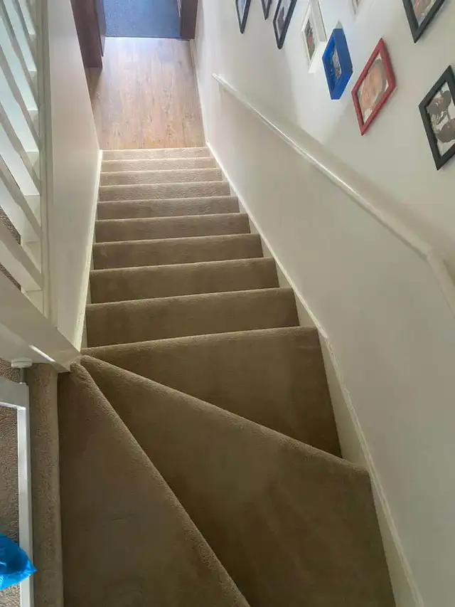The Professional House Carpet And Couch_Upholstery Cleaning - Photo 3