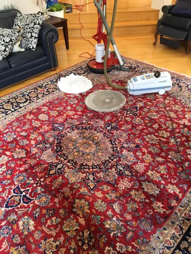 The Professional House Carpet And Couch_Upholstery Cleaning - Photo 6