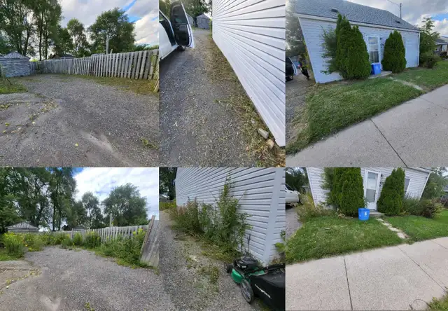 For Sale: Lawn reset