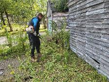 For Sale: Lawn reset - Photo 3