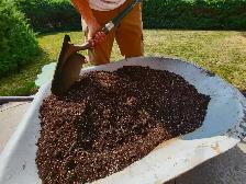 For Sale: Lawn reset - Photo 4