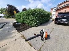 For Sale: Lawn reset - Photo 6