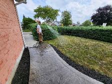 For Sale: Lawn reset - Photo 7