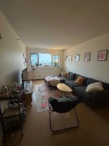 Private Bedroom in 3 Bed, 1 Bath Apartment