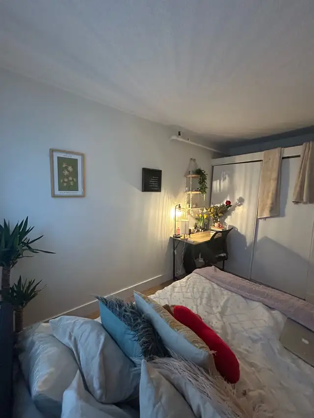 Private Bedroom in 3 Bed, 1 Bath Apartment - Photo 5