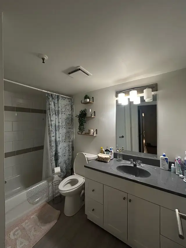 Private Bedroom in 3 Bed, 1 Bath Apartment - Photo 6