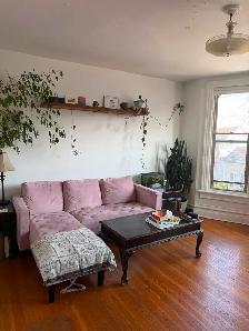 Large bright One Bedroom, Sydenham Ward, June 1