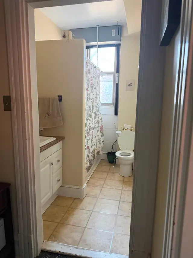 Large bright One Bedroom, Sydenham Ward, June 1 - Photo 5