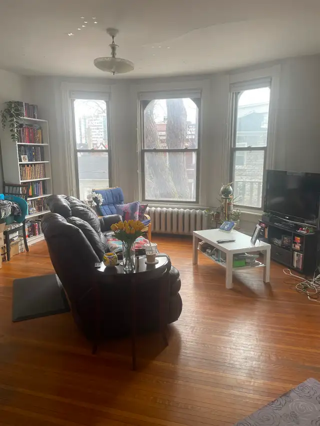 Large bright One Bedroom, Sydenham Ward, June 1 - Photo 8