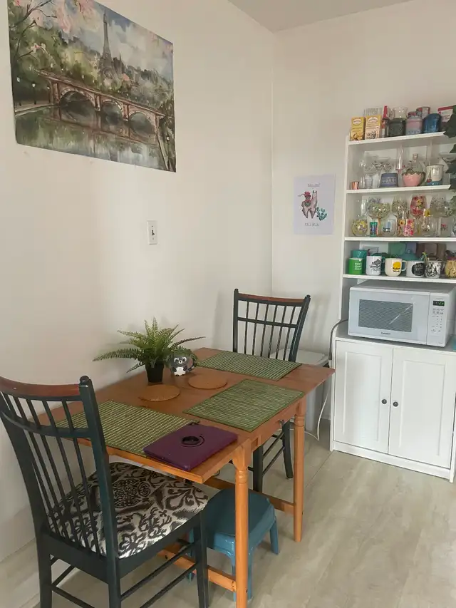 Large bright One Bedroom, Sydenham Ward, June 1 - Photo 9