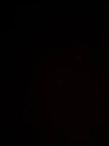 need team truck driver