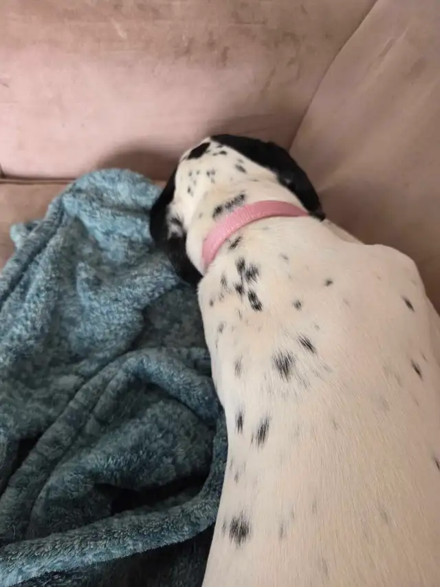 job wanted - Photo 2