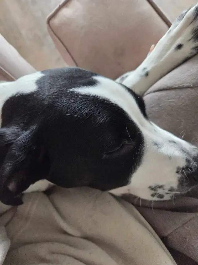 job wanted - Photo 3