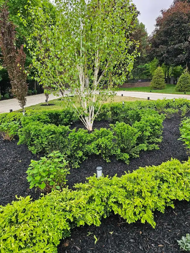 Landscape interlocking - Photo 3