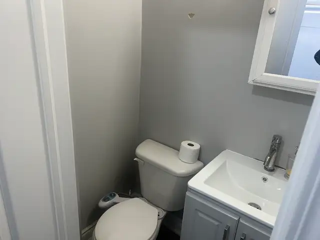 home for rent - Photo 9