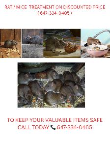 PEST CONTROL & WILDLIFE REMOVAL SERVICES ON CALL 24X7  !