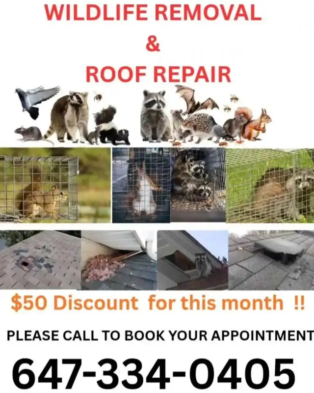 PEST CONTROL & WILDLIFE REMOVAL SERVICES ON CALL 24X7  ! - Photo 2