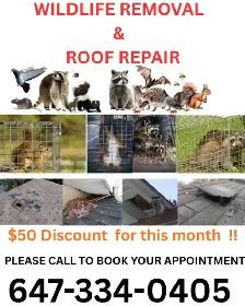 PEST CONTROL & WILDLIFE REMOVAL SERVICES ON CALL 24X7  ! - Photo 2