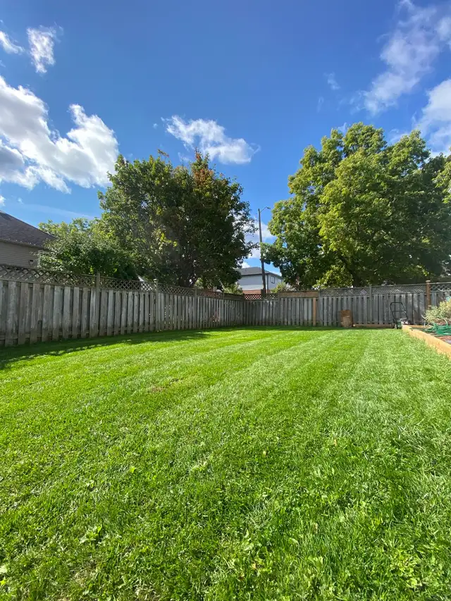 lawn mowing - Photo 2