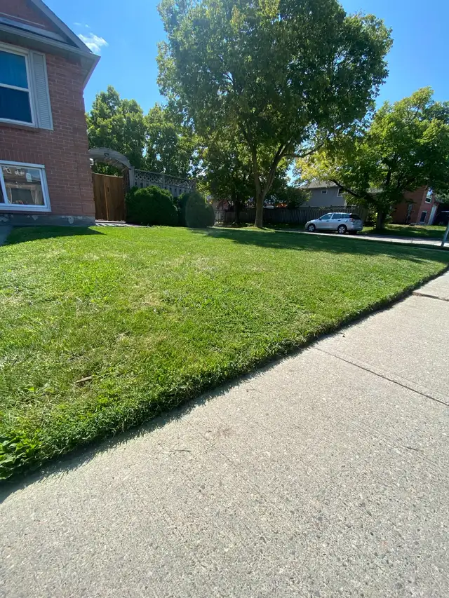 lawn mowing - Photo 3