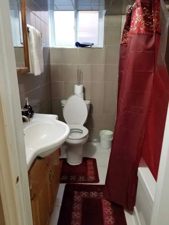 1 Bedroom Basement available from 1st April 2026 in Scarborough - Photo 3