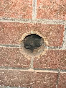 Construction - Photo 5