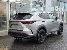 2023 Lexus NX NX 350 - Photo 3
