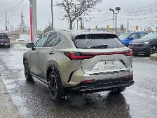 2023 Lexus NX NX 350 - Photo 6
