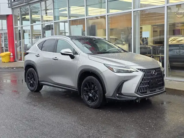 2023 Lexus NX NX 350 - Photo 7