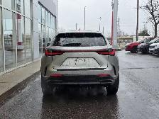 2023 Lexus NX NX 350 - Photo 9