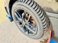 2013 SUBARU IMPREZA WRX TURBO - Photo 9