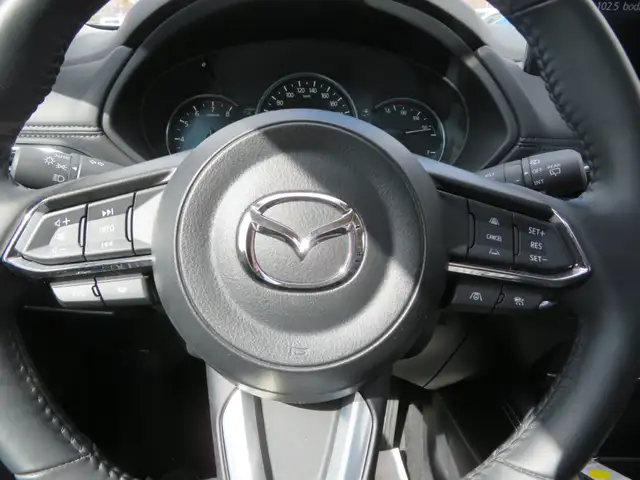 2025 Mazda CX-5 GT AWD - Photo 16