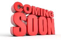 2019 Ram ProMaster Cargo Van 2500 High Roof 136' Inverter Divide