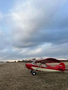 1946 Aeronca Champ