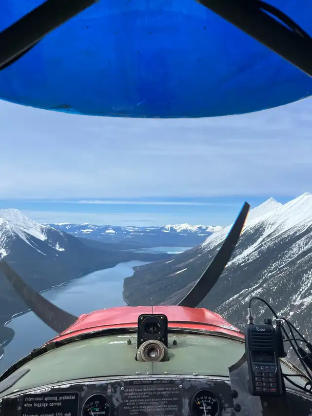 1946 Aeronca Champ - Photo 4