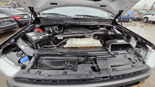 2021 Ford F-150 TREMOR, IRREPARABLE, PARTS OR EXPORT, AS IS - Photo 10