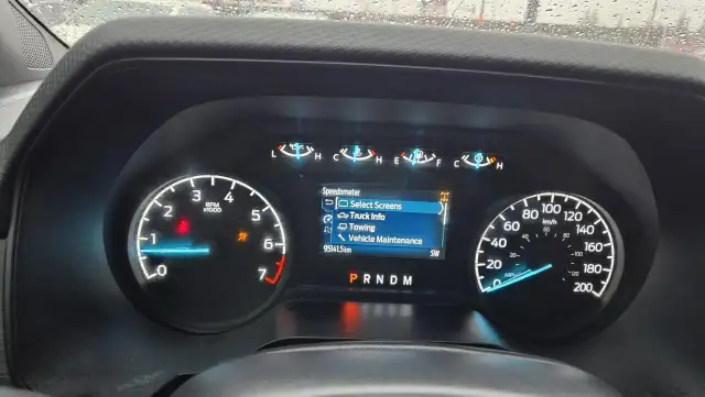 2021 Ford F-150 TREMOR, IRREPARABLE, PARTS OR EXPORT, AS IS - Photo 12