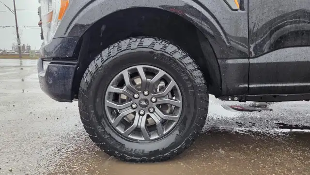 2021 Ford F-150 TREMOR, IRREPARABLE, PARTS OR EXPORT, AS IS - Photo 15