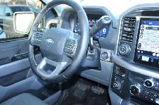 2025 Ford F-150 XLT - Photo 13