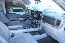 2025 Ford F-150 XLT - Photo 16